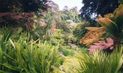 Khu Vườn Mộng Mơ (Dream Garden)